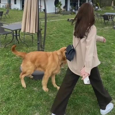 点心:一片心意